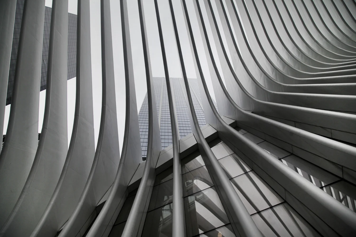 What Is Architecture